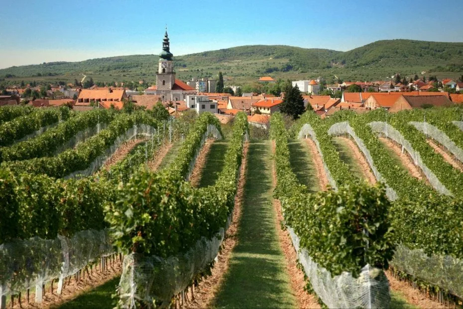 Small Carpathian Wine Road