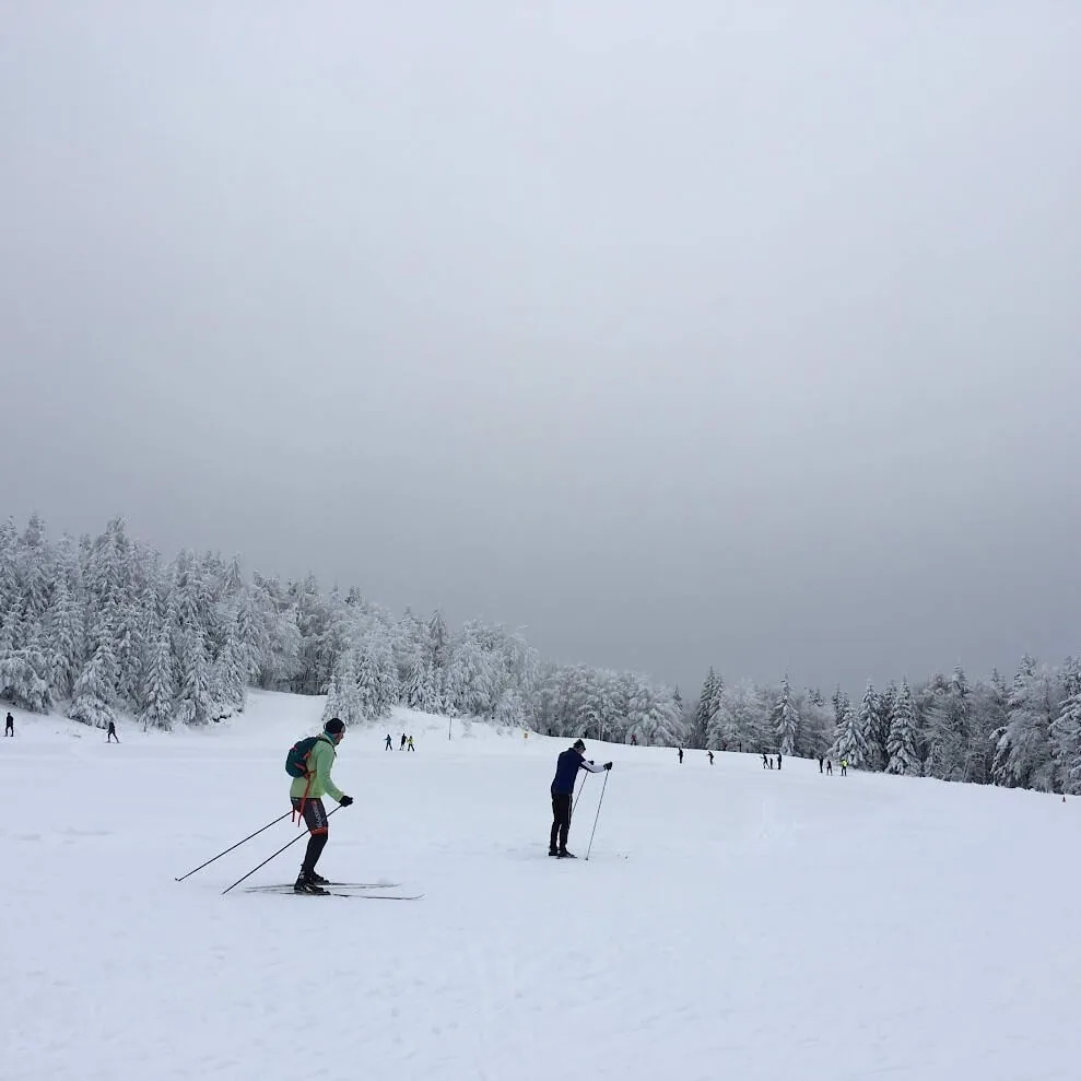 Skiers gliding across a snow-covered landscape in the Kremnica Mountains, surrounded by frost-covered trees