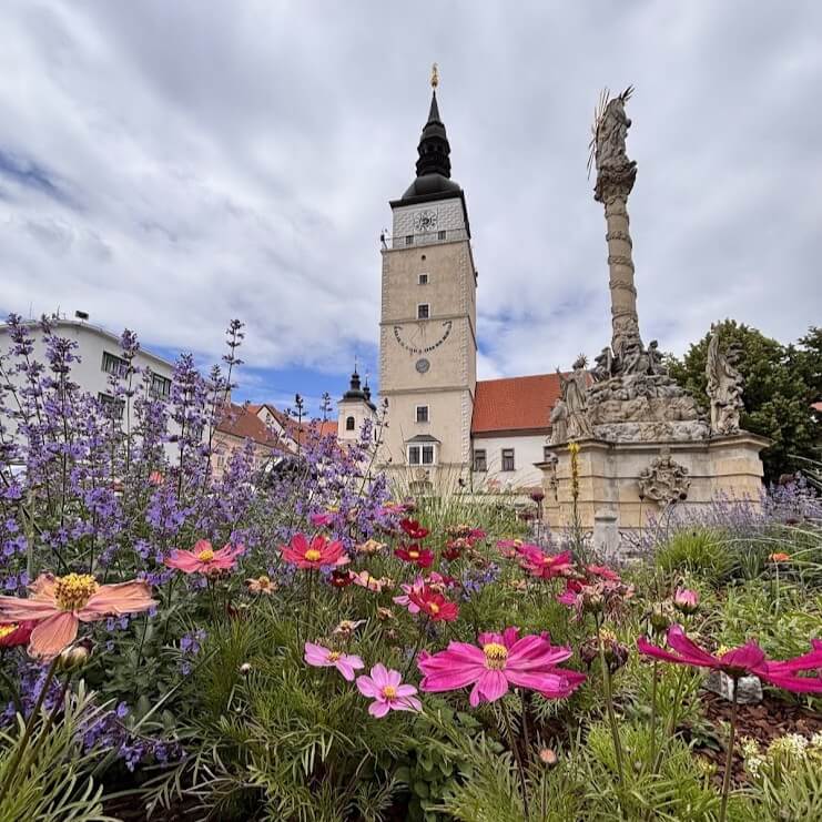 Explora Trnava: Torre de la Ciudad con jardín de flores coloridas en primer plano, cosmos rosas y lavanda, junto a una columna barroca de la Trinidad en la plaza principal de Trnava, Eslovaquia.
