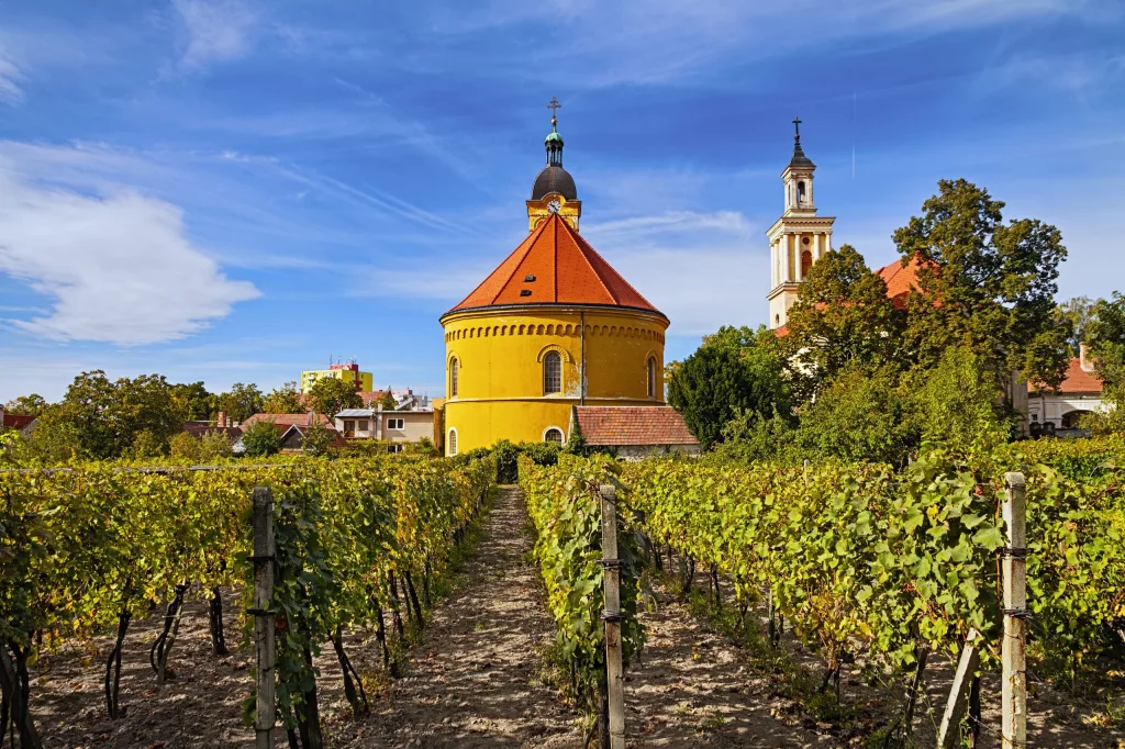 A round yellow chapel standing among the vines on the Small Carpathian wine route, a church tower behind.