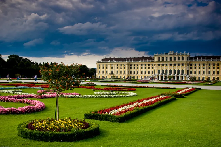 Vienna Melody — photo 2