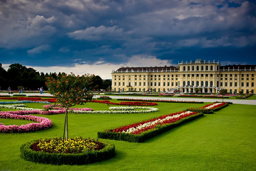Vienna Melody — photo 2