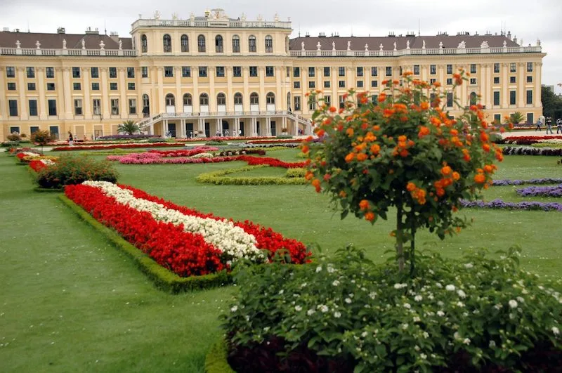 Schönbrunn Palace in Vienna seen across its formal gardens, with beds of red and white flowers in the foreground.