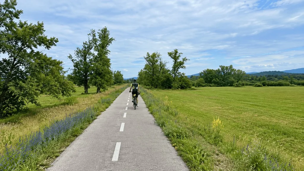 Un cycliste sur une piste cyclable goudronnée entre prairies et arbres près du Danube, en Slovaquie.