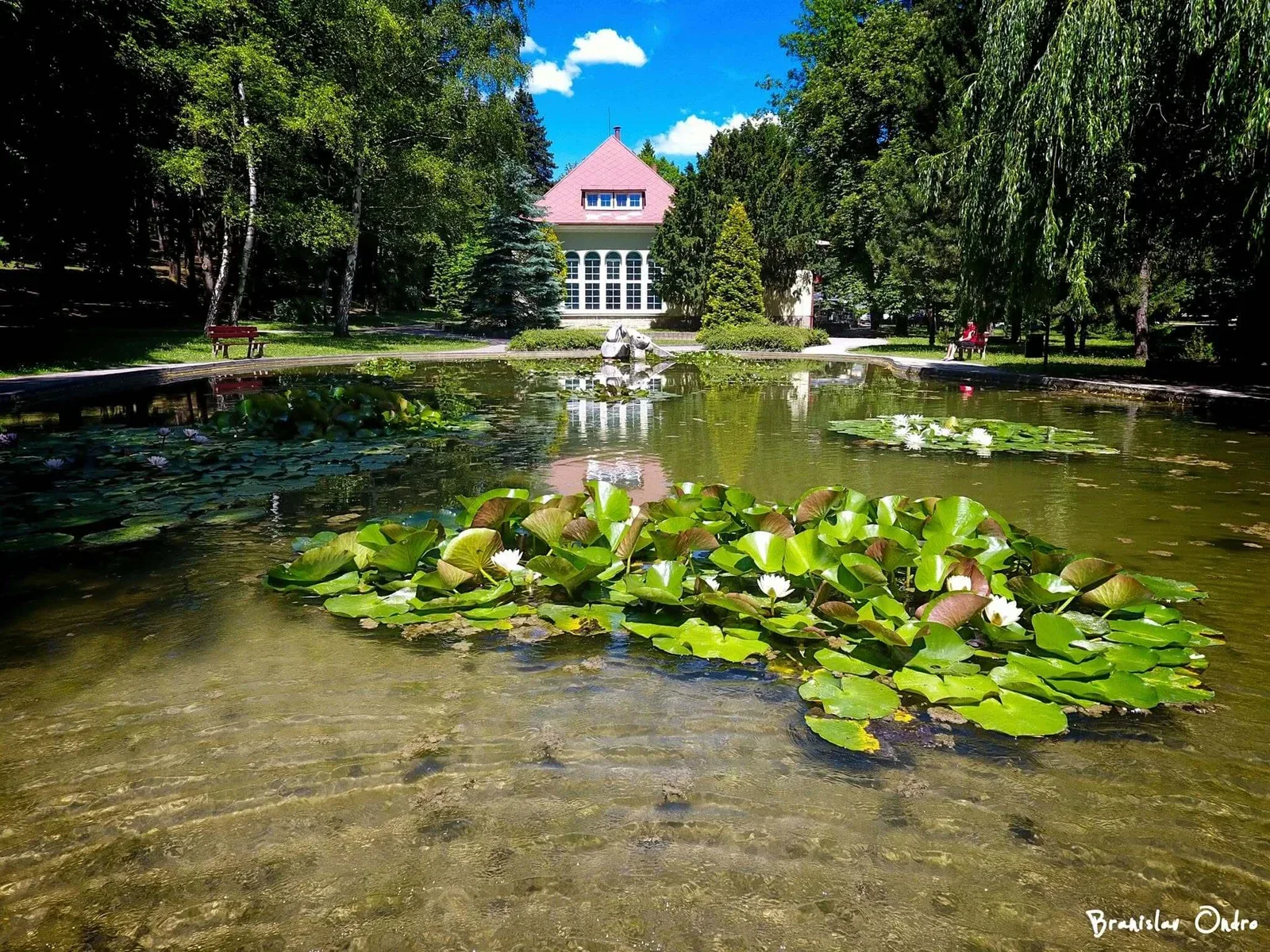 The lily pond in the spa park at Bojnice, with water lilies in bloom and a pavilion behind the trees. Photo: Branislav Ondro.