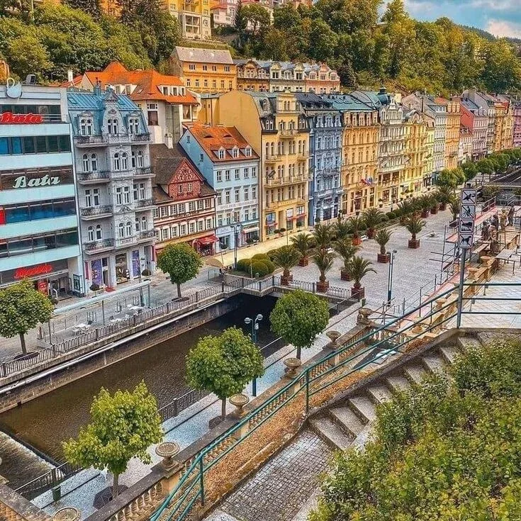 The colourful spa houses of Karlovy Vary lining the Tepla River, with palms in planters along the promenade and wooded hills rising behind the town.