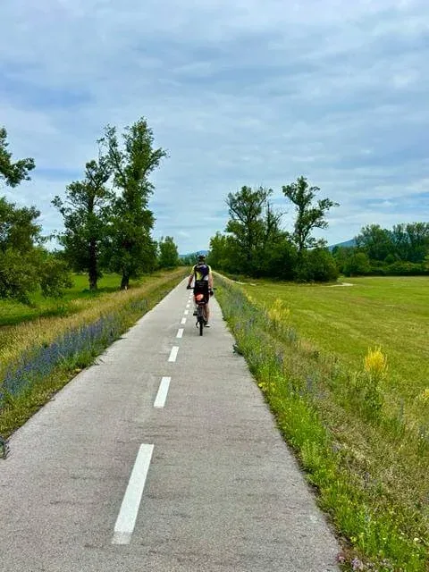 A cyclist with panniers on a straight cycle path across open meadows, wildflowers along the verge.