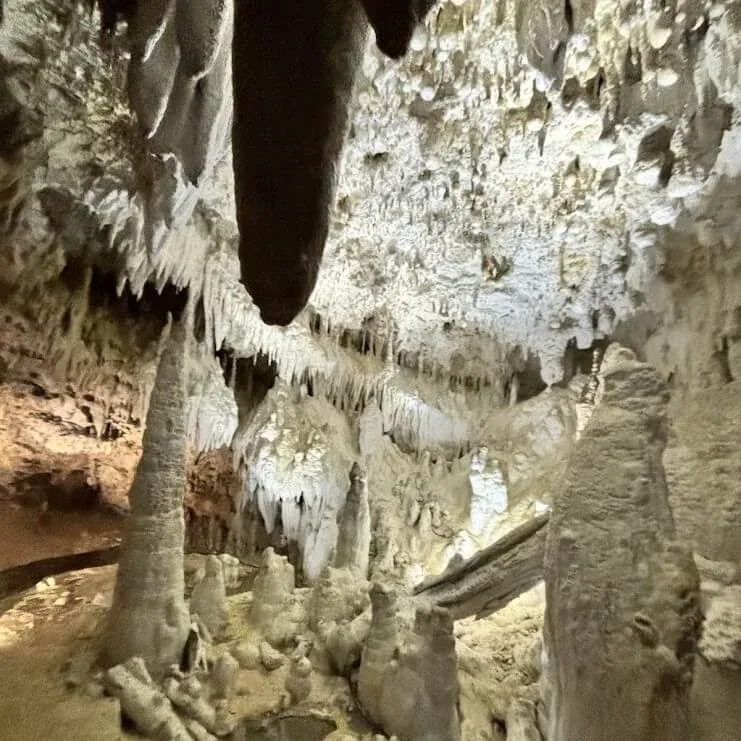 Stalactites and flowstone formations lit inside a cave.