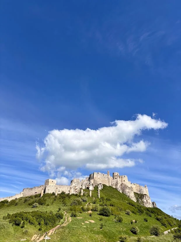 The ruined walls, towers and keep of Spiš Castle spread along their green hilltop under a blue summer sky.