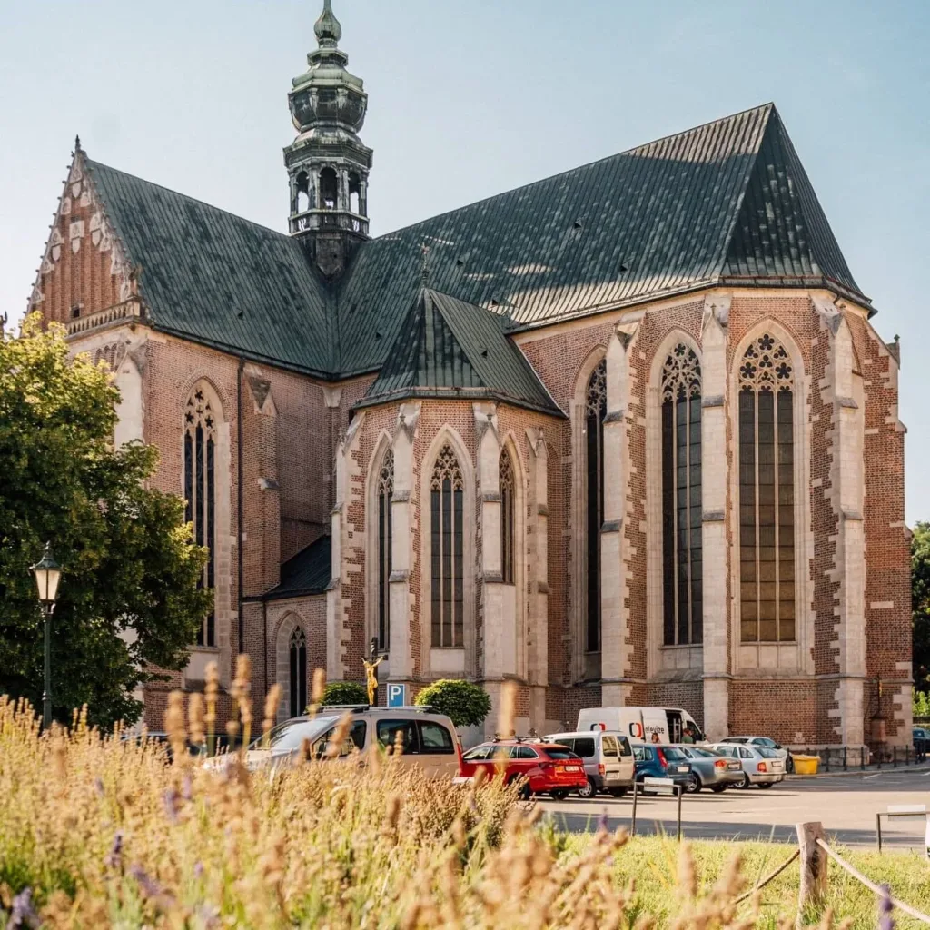 A red-brick Gothic church in Brno with a tall baroque bell tower and green copper roofs, seen across a meadow of dry summer grasses.