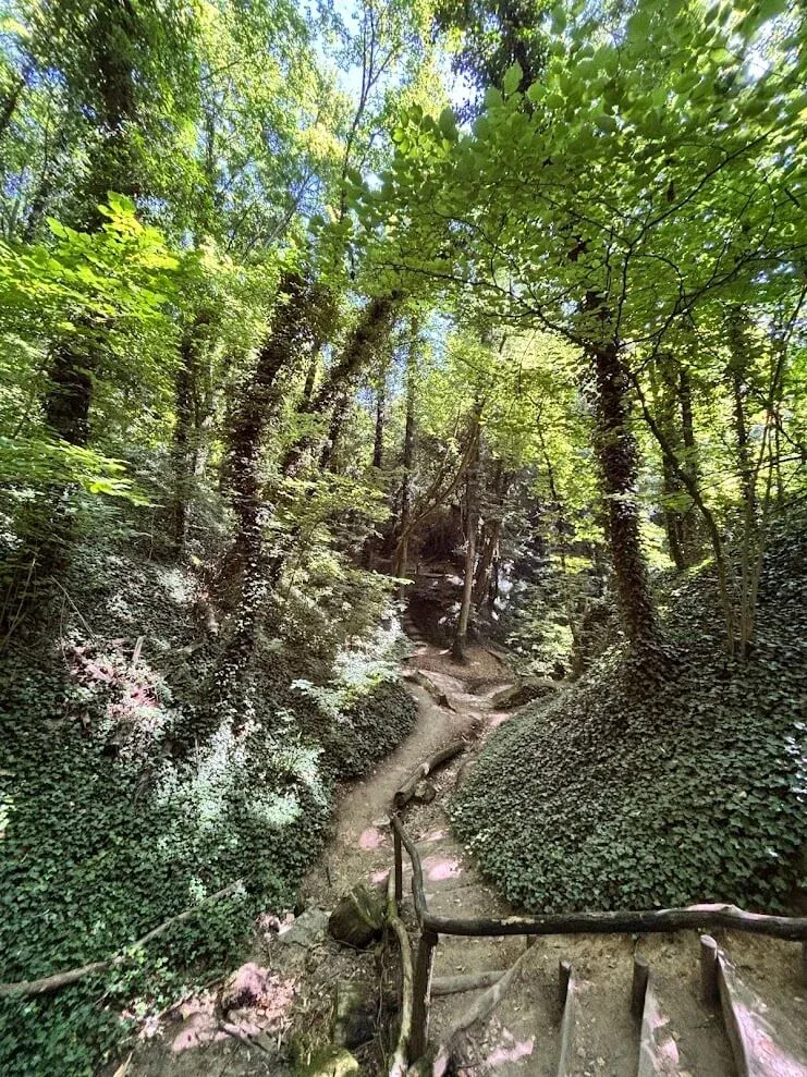 A footpath winding through the ivy-covered Haluzická gorge near Trenčín, under a canopy of green woodland.