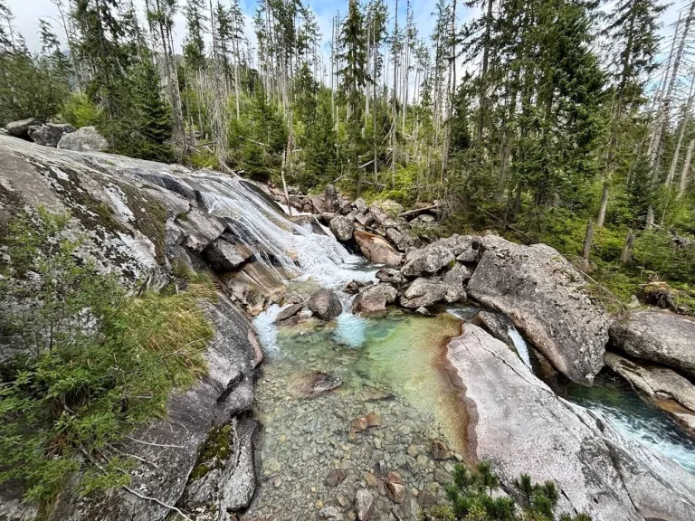 A mountain stream falling over smooth granite slabs into a clear green pool in the spruce forest of the High Tatras.