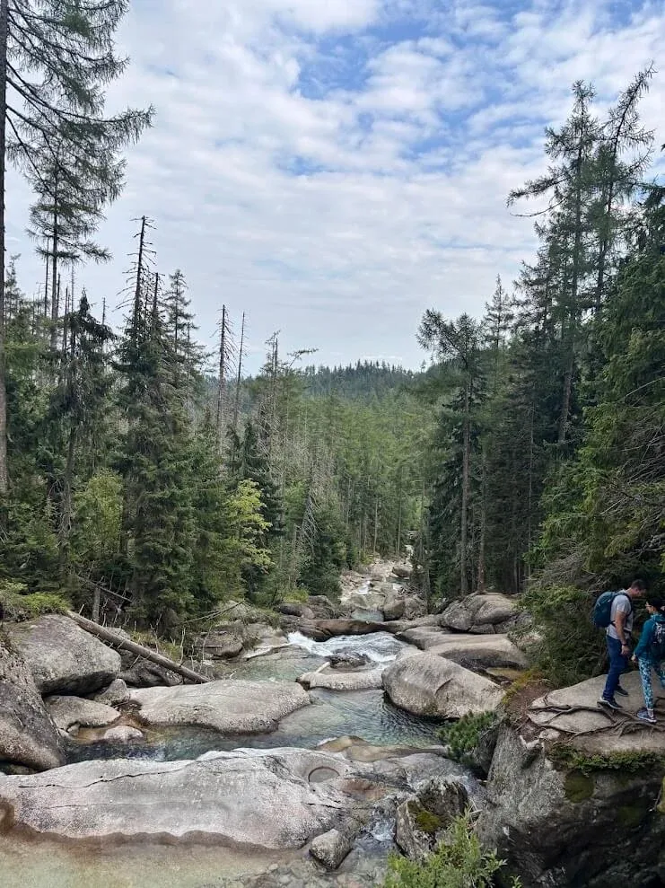 Hikers on the rocky path beside a boulder-strewn mountain stream in the forest of the High Tatras.