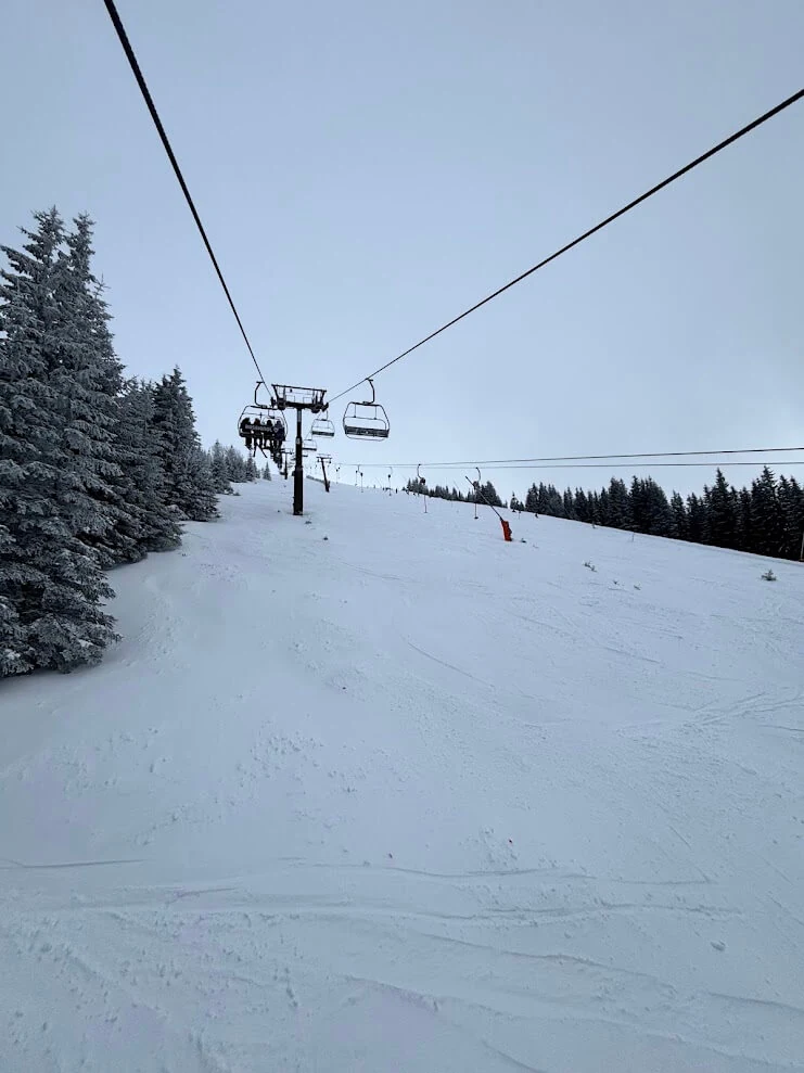 A chairlift climbing a snow-covered slope between frosted spruce trees in the Low Tatras.