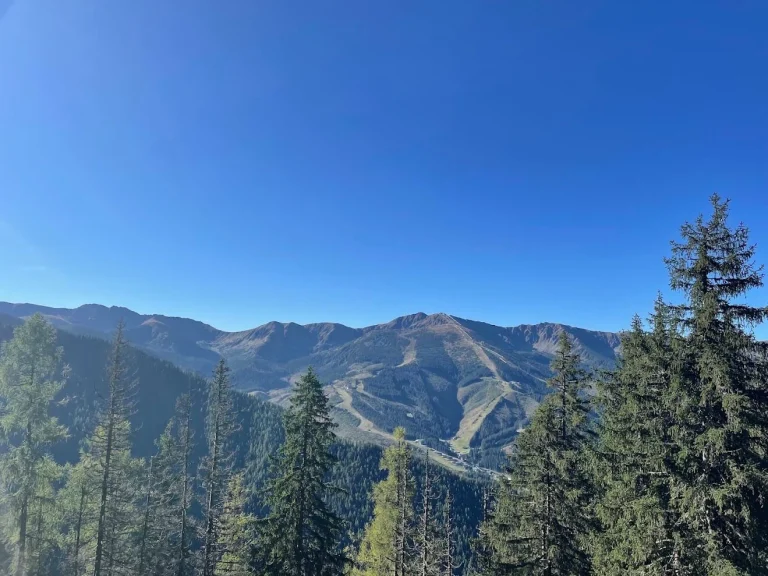 A summer view across spruce forest to the ski runs on a Low Tatras mountainside under a deep blue sky.