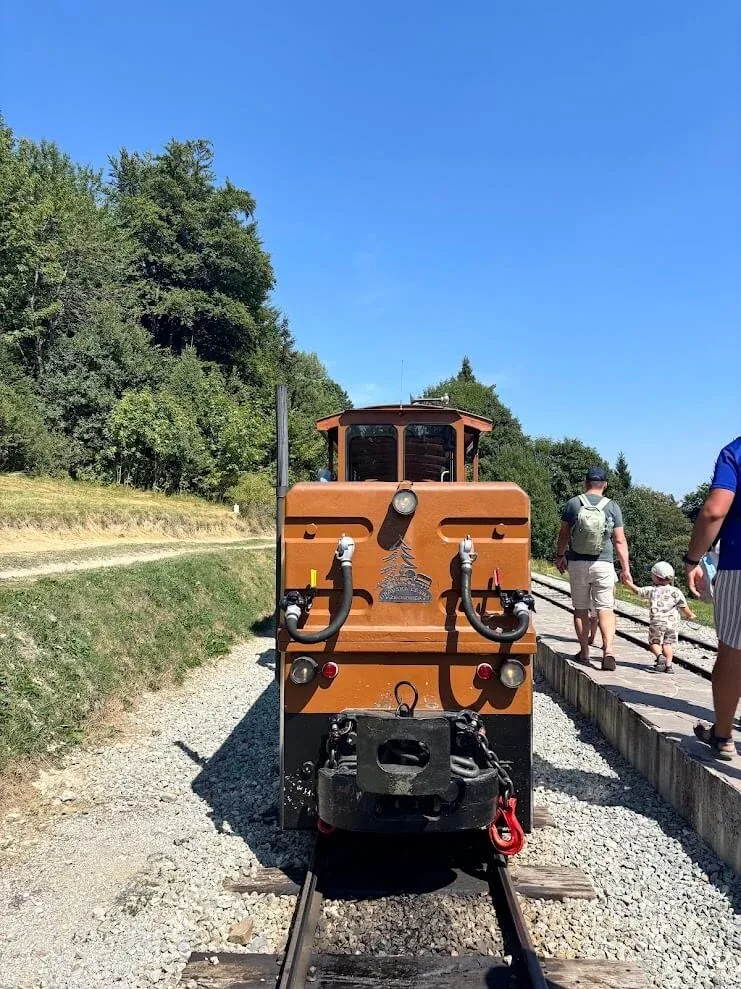 The orange locomotive of the historic Orava forest railway standing on the narrow-gauge track, passengers walking alongside.