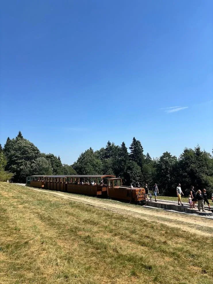 The historic forest railway train with its open carriages waiting at a meadow halt in the Orava hills.