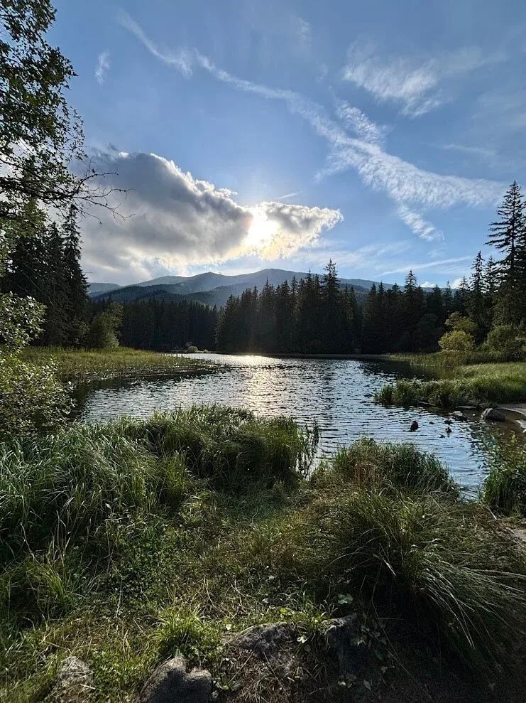 Vrbické pleso, the small lake in the Demänovská valley of the Low Tatras, ringed by spruce forest with the sun low over the ridge behind.
