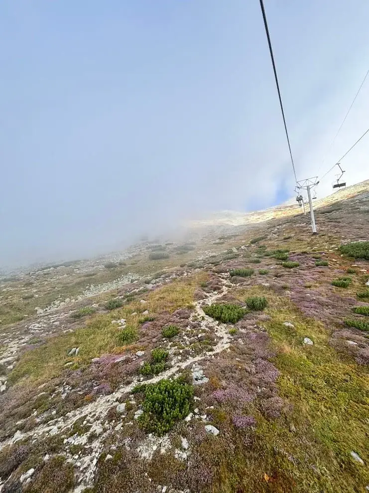 A chairlift line climbing through flowering heather and dwarf pine on a Tatra slope, mist closing in above.
