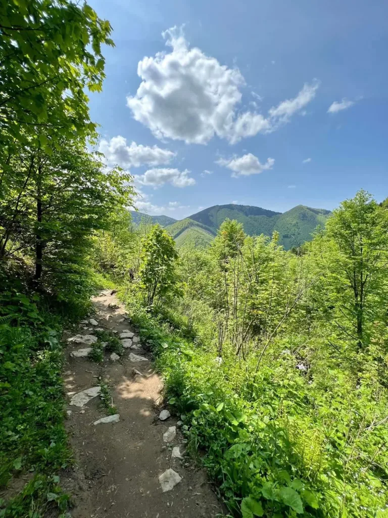 A stony forest trail in the Malá Fatra opening onto green ridges, a single cloud above.