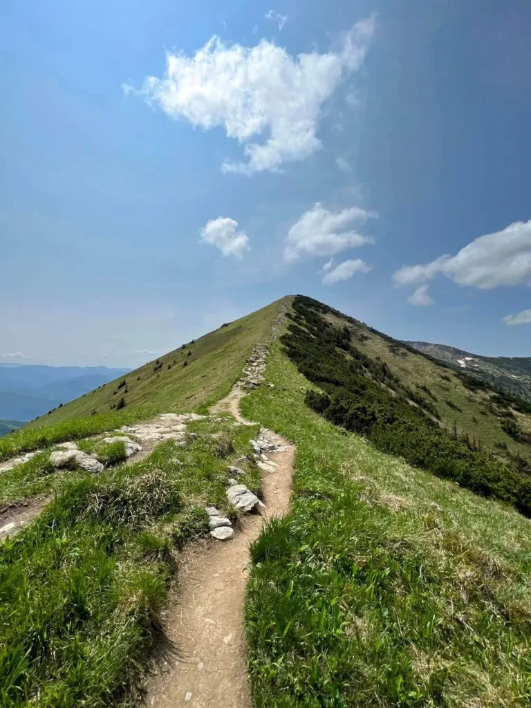 A stony path climbing a grassy ridge towards a rounded summit in the Malá Fatra, dwarf pines along the crest.