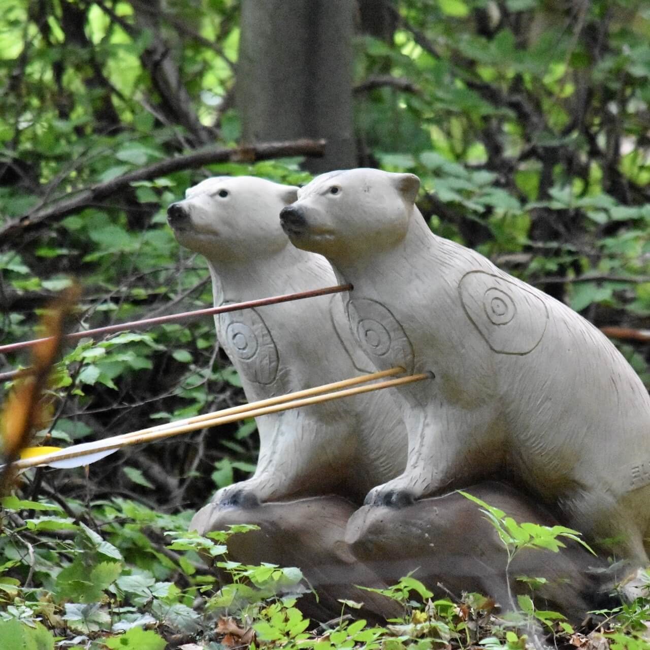 Two archery targets shaped like polar bears in a forest setting, hit with multiple arrows during an outdoor activity. Ideal for school group tours seeking active adventures in Slovakia.