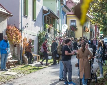 Visitors exploring the Skalica wine cellar street festival — Wine Passport experience with 60+ family wineries open to the public